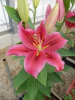 [5552 PO55 No02.JPG]